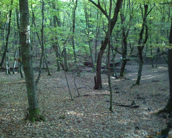 Отдых в Саратовской (Горячий Ключ) 2026