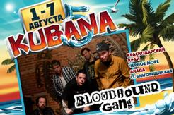 Участники-2013