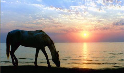 Ейский район