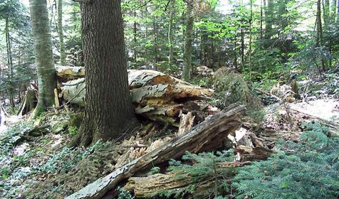 Плато Лагонаки.