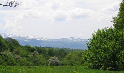 Вид с одной из полян Лагонакского нагорья