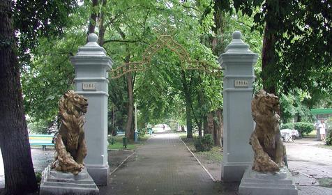 Центральная улица