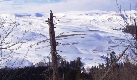 Плато Лагонаки