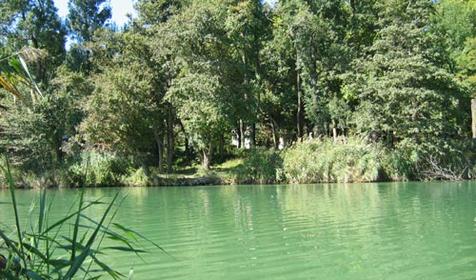 Река Джубга