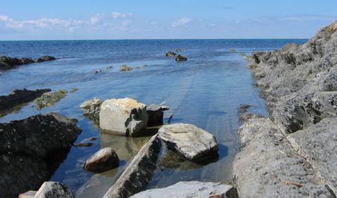 Мыс Грязнова. Берег