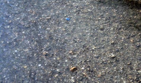 Дно реки Сочи.