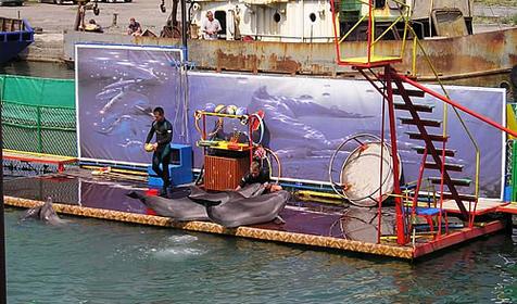 Дельфинарий