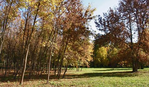 Осенний парк