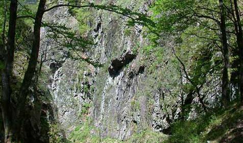 Начало каньона