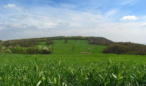 Поляна на хребте Грузинка