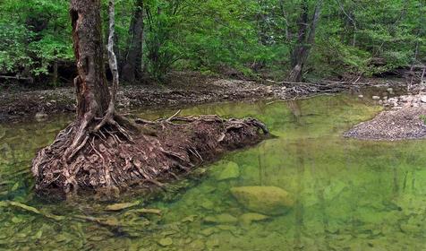 Русло реки Шебш