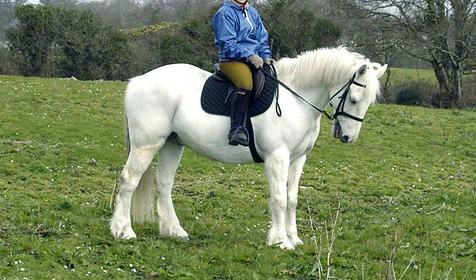 Конный туризм – это один из видов активного отдыха