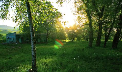 Окрестности Армавира.