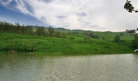 Окрестности Армавира.