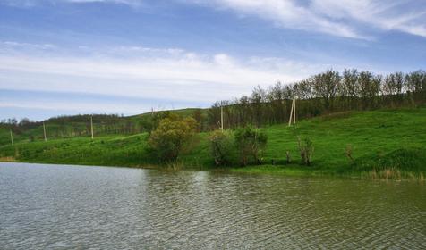 Окрестности Армавира.