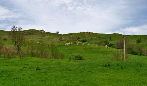 Окрестности Армавира.