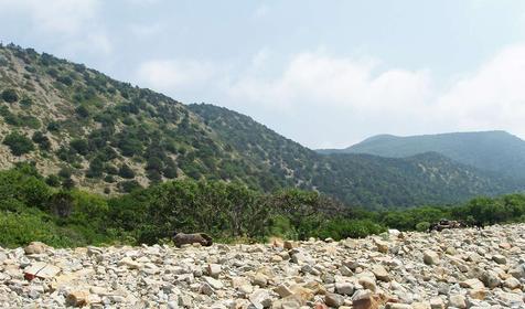 Первозданность природы. Большой Утриш