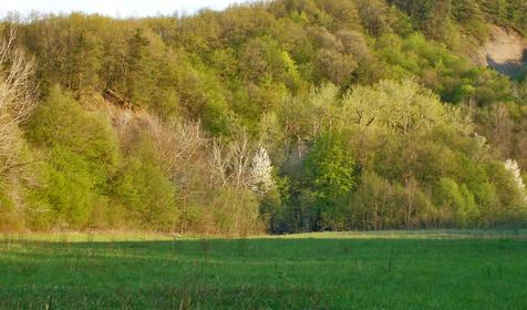 Станица Крепостная