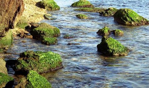 Причудливый берег Тамани