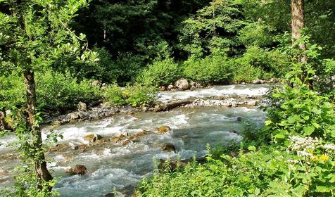 Река Мзымта