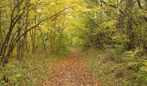 Абинский район