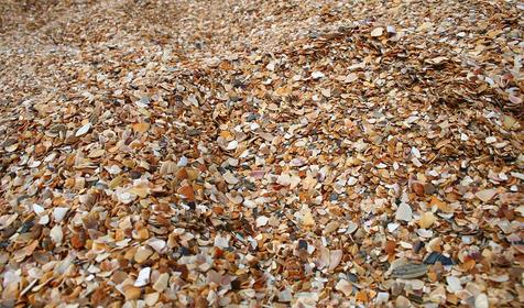 Благовещенская коса.