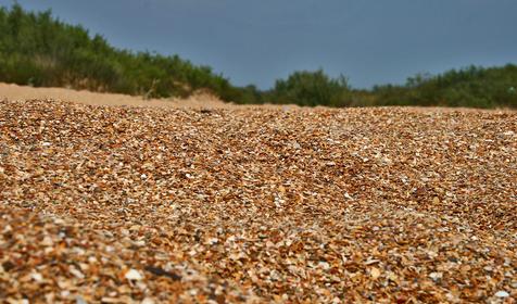 Благовещенская коса.