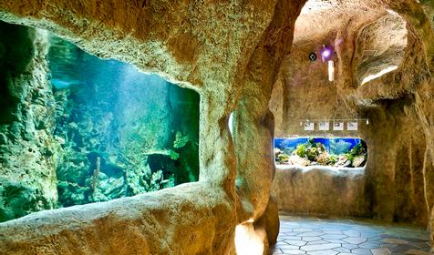 Океанариум Тайны океана. г. Сочи