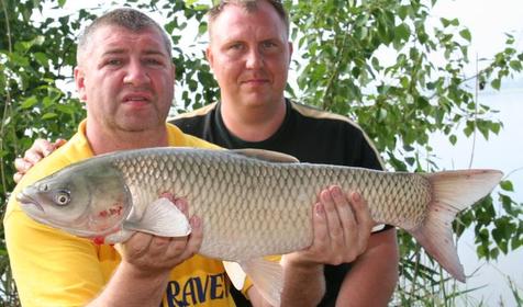 Рыболовная база Шаповаловский пруд, Красноармейский район, ст. Ивановская