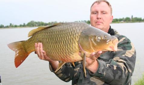 Рыболовная база Шаповаловский пруд, Красноармейский район, ст. Ивановская