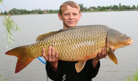 Рыболовная база Шаповаловский пруд, Красноармейский район, ст. Ивановская