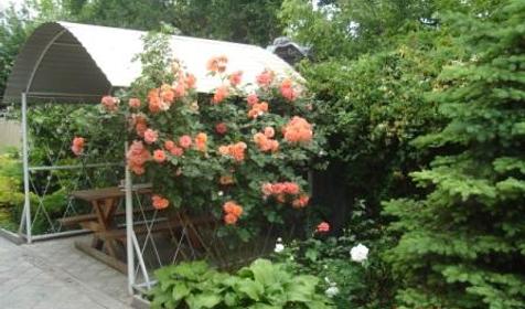 Гостиница Садовая, г. Анапа