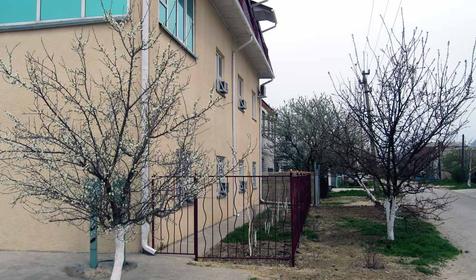 Гостевой дом Сябры, г. Анапа, п. Витязево