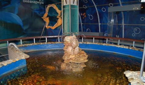 Развлекательно-познавательный центр Океанариум, г. Геленджик