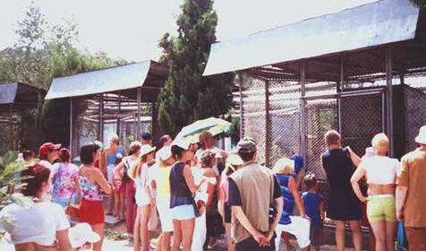 Экскурсия, питомник обезьян института медицинской приматологии РАМН, с. Веселое-1