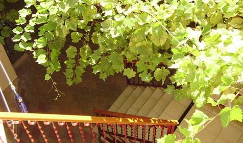 Лестница гостевого дома Ева, г. Анапа, п. Джемете