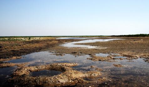 Поселок Веселовка, Темрюкский район