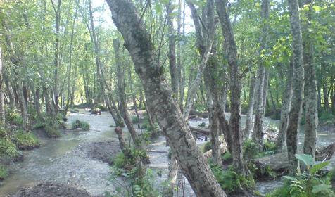 Мостовской район