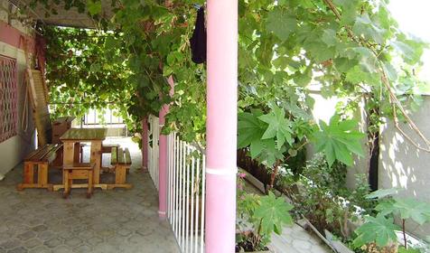 Во дворе гостевого дома Темниковых, г. Анапа, п. Сукко