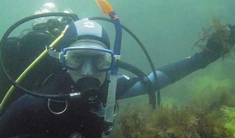 В морских глубинах, г. Сочи, Лазаревский район, п. Лоо