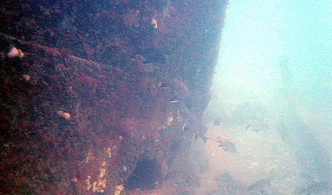 Затонувший корабль Роклифф, г. Сочи, Лазаревский район, п. Лоо