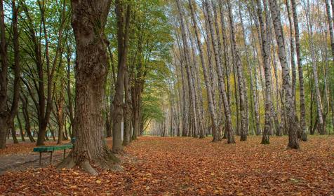 Солнечный остров