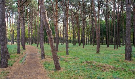 Солнечный остров