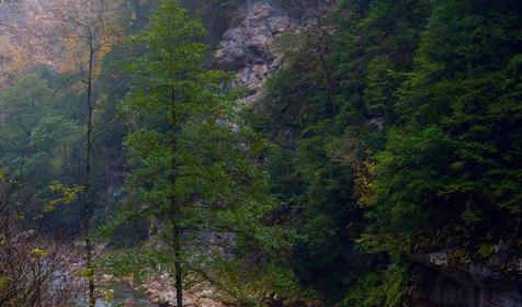 Гуамское ущелье, река Курджипс