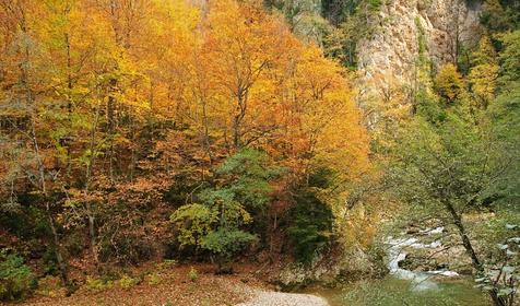 Гуамское ущелье, река Курджипс