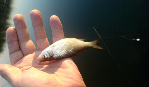 Таких не берут космонавты))