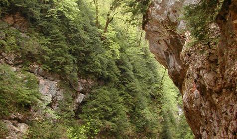 Гуамское ущелье, Апшеронский район, х. Гуамка