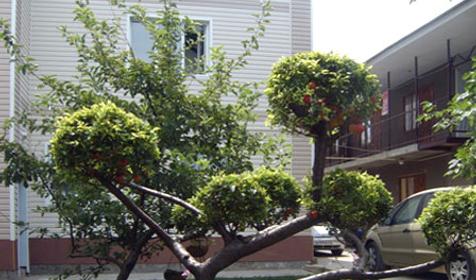 Дворик гостевого дома Вераника, г. Анапа, кп. Витязево