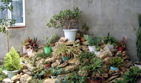 Дворик гостевого дома Вераника, г. Анапа, кп. Витязево