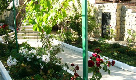 Во дворе гостевого комплекса Семейный отдых, г. Анапа, п. Витязево